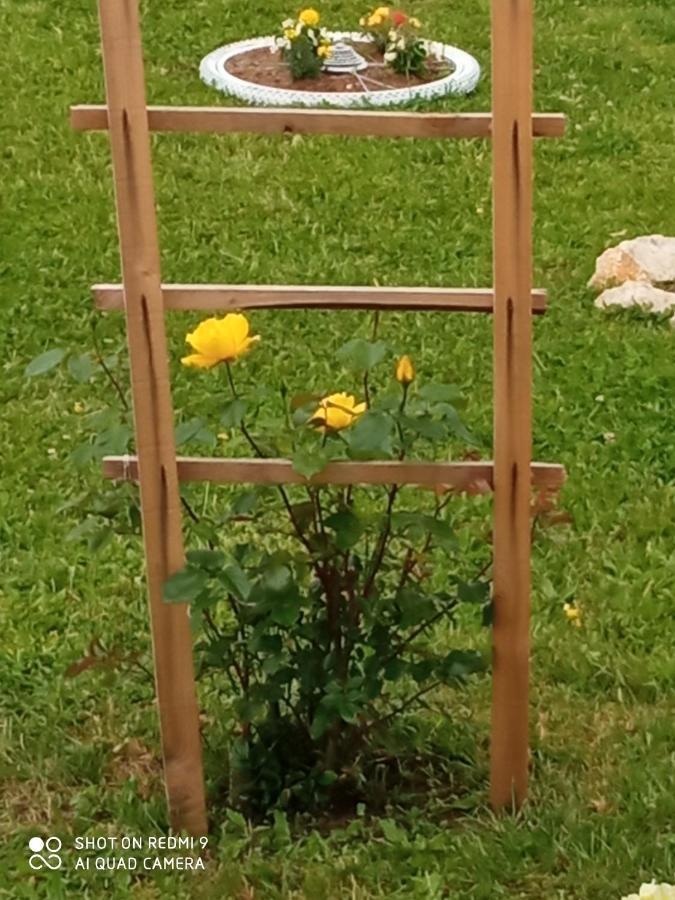 Yellow Rose Rakovica Dış mekan fotoğraf